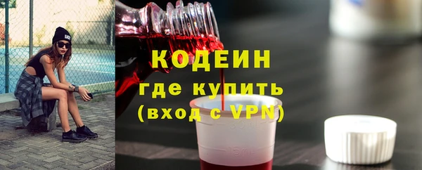 гашик Костерёво