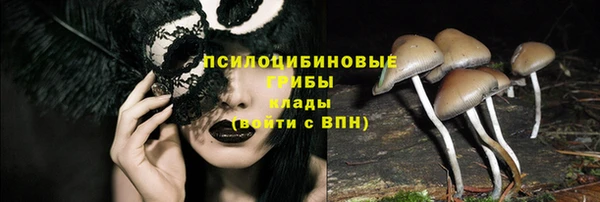 гашик Костерёво
