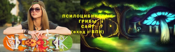 гашик Костерёво