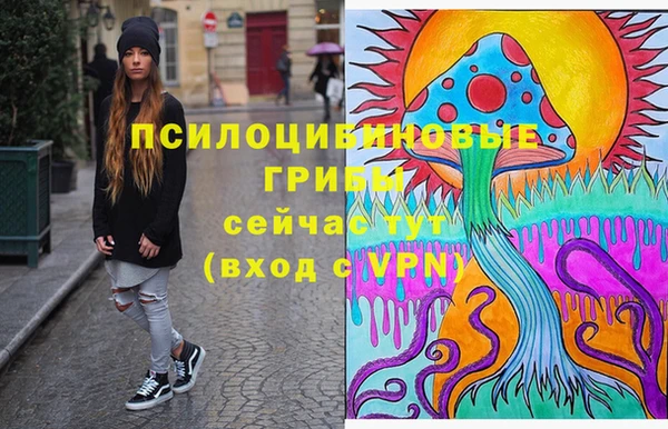 гашик Костерёво