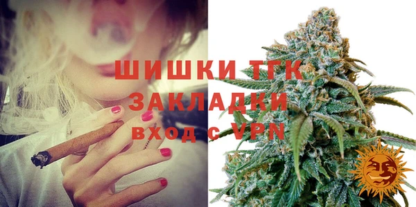 гашик Костерёво