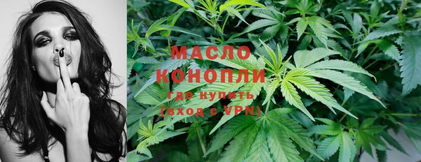 гашик Костерёво