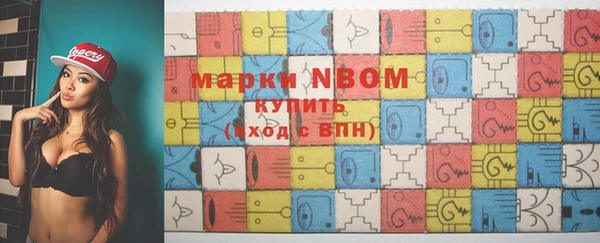 гашик Костерёво