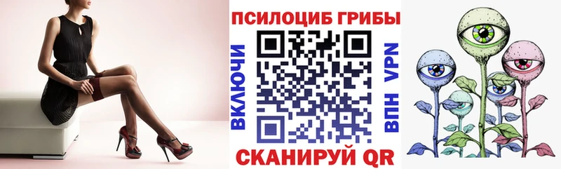 Галлюциногенные грибы Psilocybe Купить где Темрюк